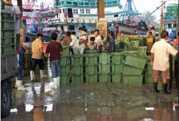 Fishery Port