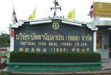 บริษัท ปัตตานีปลาป่น(1988) จำกัด